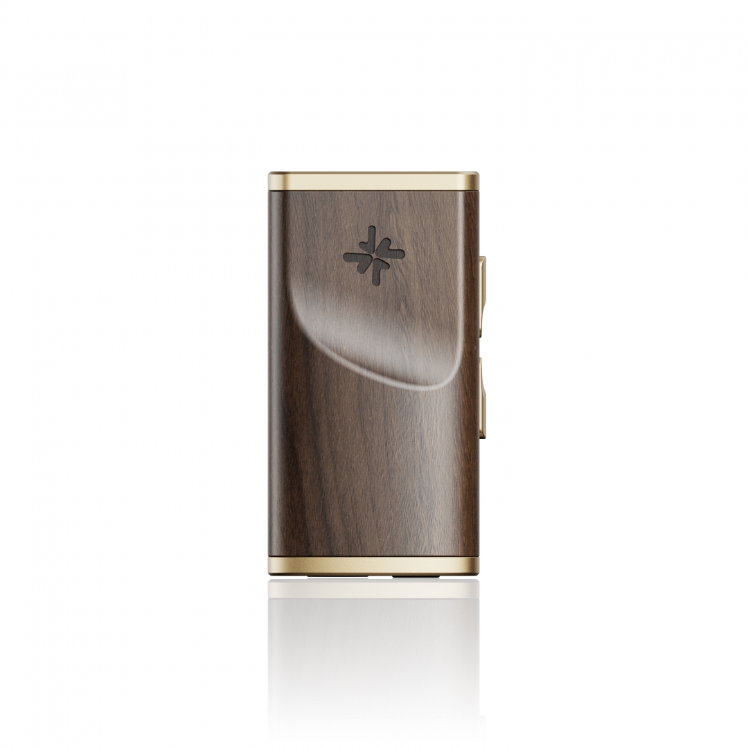 FiiO Snowsky Melody